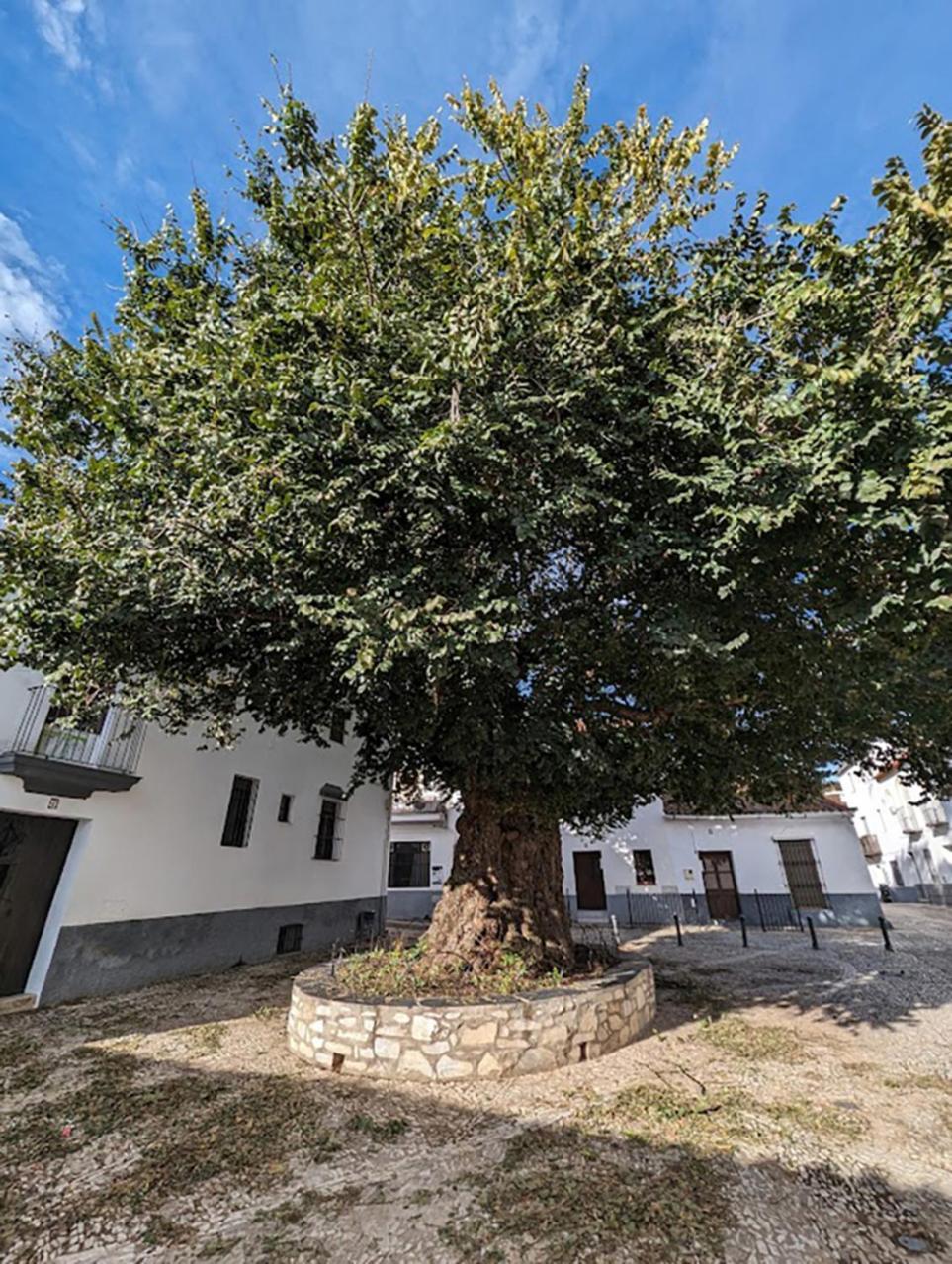 Villa Casa Maricolilla Cortelazor Exterior foto